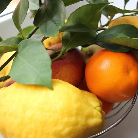 Gallia's Alojamento de Acomodação e Pequeno-almoço 4*